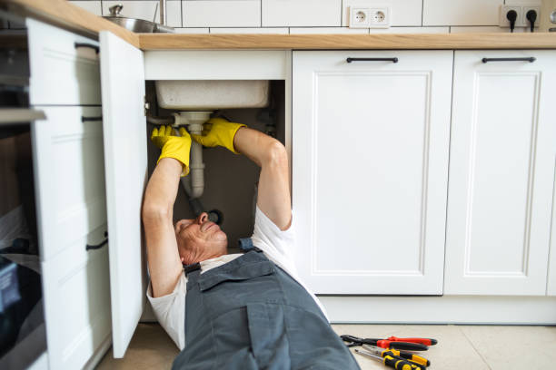 Best Plumbing Inspection Services  in Palm Springs, FL